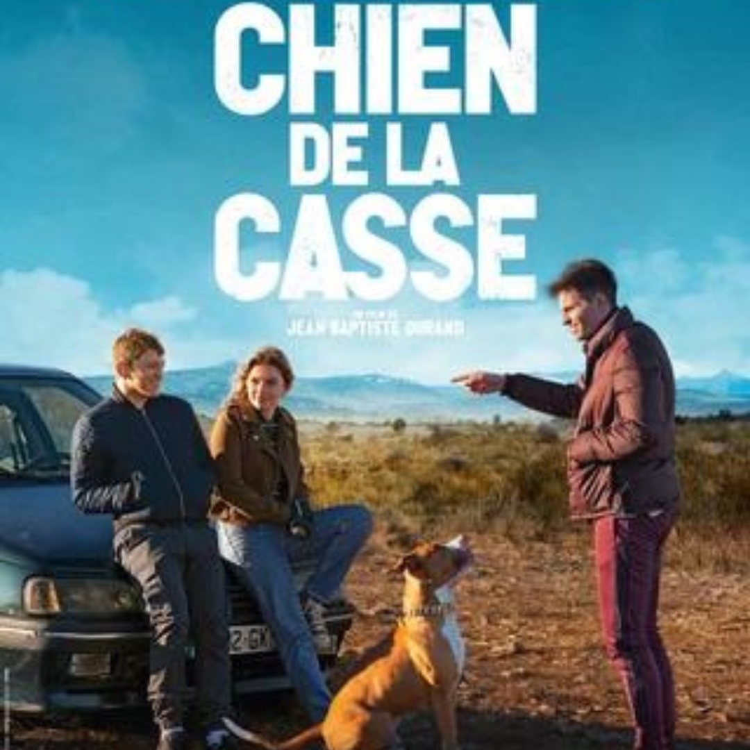 chien de la casse