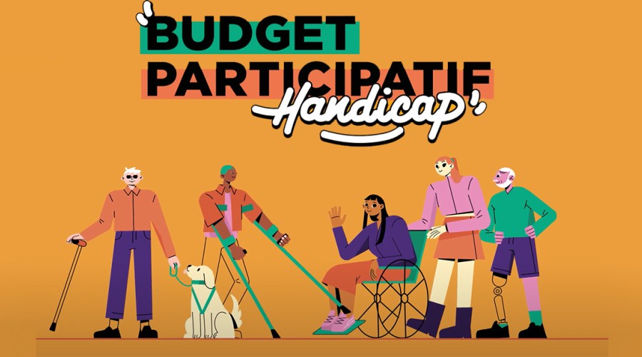 budget participatif-handicap-25