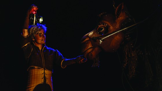 dos de chameau