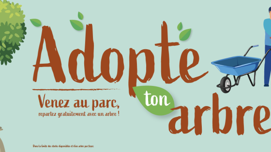 adopte-arbre