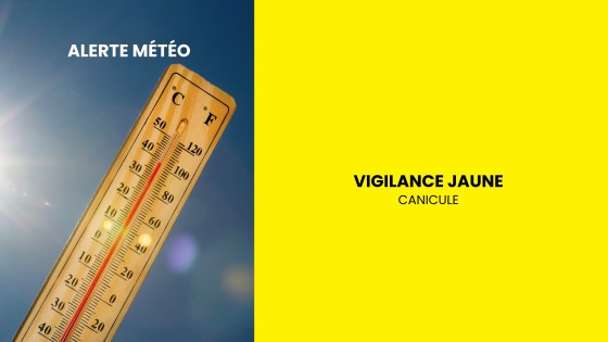 alertecaniculejaune