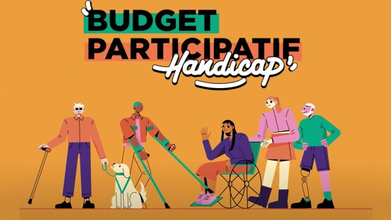 budget participatif-handicap-25